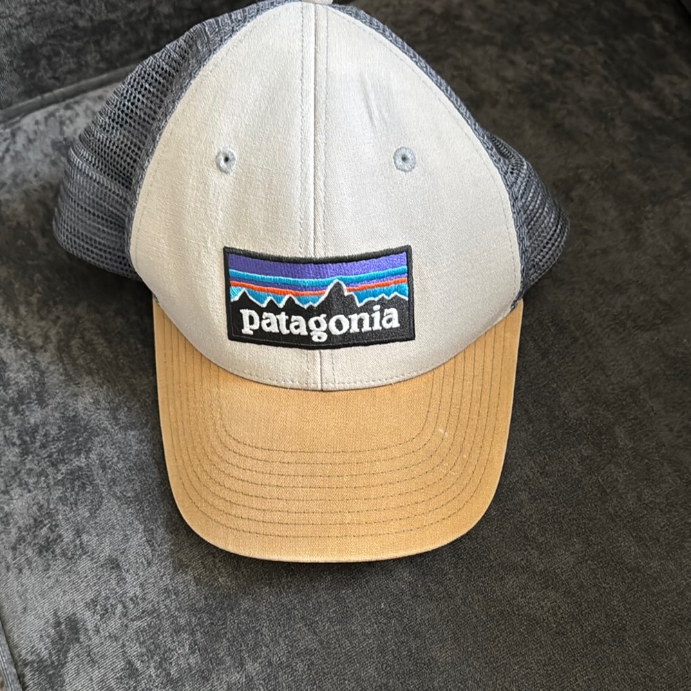 Patagonia Two-Tone Trucker Hat